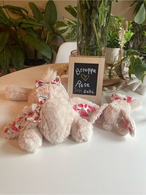 Jellycat Medium & Tiny Berry Smudge Set 🍓🍉